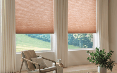 Automated Window Shades for Smarter Living